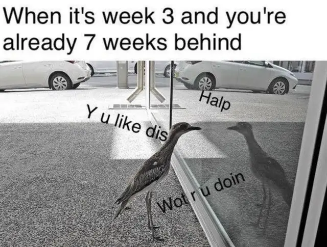 当第三周的时候，你已经落后7个星期了