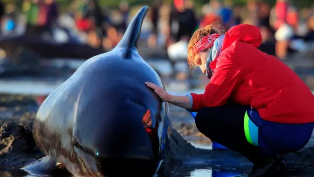 Mujer joven con una mano sobre la piel de una ballena