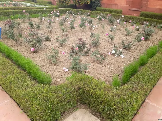 ਰਾਸ਼ਟਰਪਤੀ ਭਵਨ ਦੇ ਅੰਦਰ ਬਣਿਆ ਮੁਗਲ ਗਾਰਡਨ