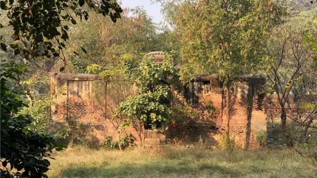 रणजीत सिंह