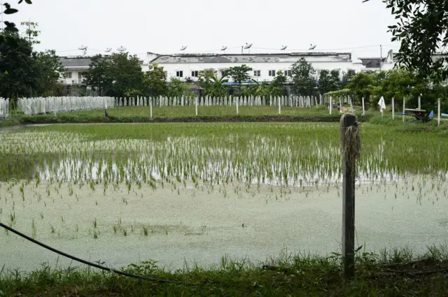 นานวลจันทร์