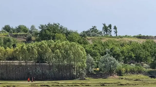 صیاد