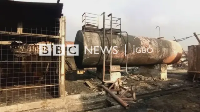 Ọkụ Fruit Garden 21-11-2021