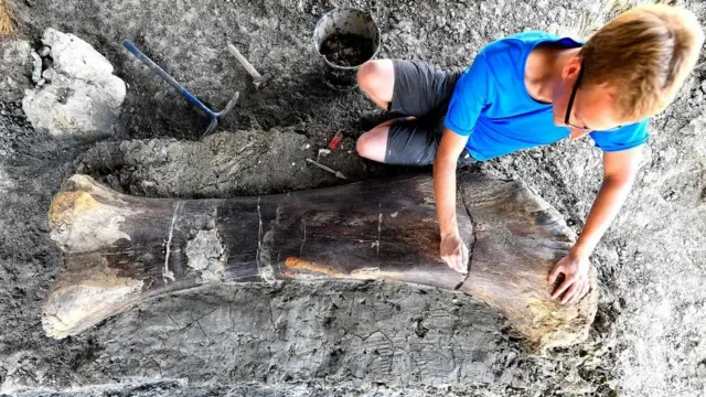 استخوان پای یک ساروپاد در فرانسه