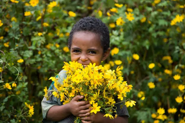 ህፃን ልጅ አደይ አበባ ታቅፋ