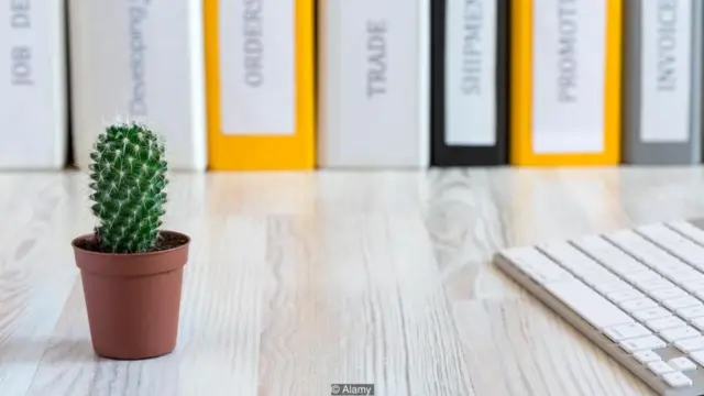 ऑफ़िस स्पेस