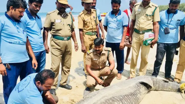 வனச்சரக அலுவலர்