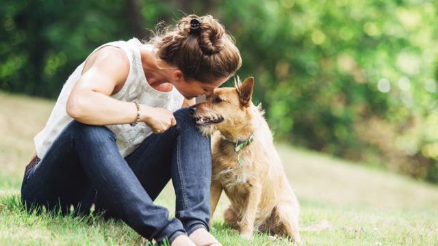 algunos perros tienen mejor sentido del olfato que otros