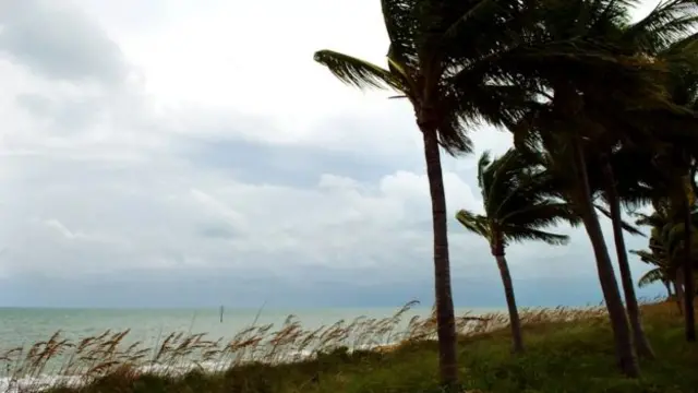 Кариб бассейниндеги аралдардын ичинен борооон-чапкын Гаитиге көп зыянын тийгизет.