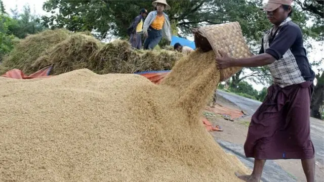 စပါးတင်းတစ်ရာကို ကြမ်းခင်းဈေး ကျပ် ၅ သိန်းပေးဝယ်ဖို့အစိုးရသတ်မှတ်