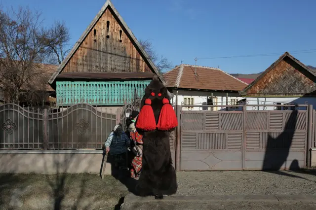 Prilikom ophoda kroz selo, maskirana povorka nakratko zastaje ispred kuća čiji su domaćini izašli da ih pozdrave. Kostime od medveđeg krzna je izuzetno naporno nositi, kako zbog težine od oko 50 kilograma, tako i zbog toga što je u njima izuzetno vruće posle višesatnog pešačenja.