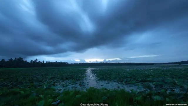 प्रातिनिधिक फोटो