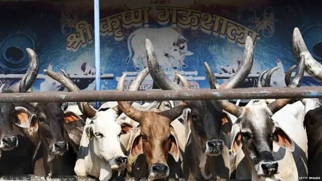 ਗਊਸ਼ਾਲਾ