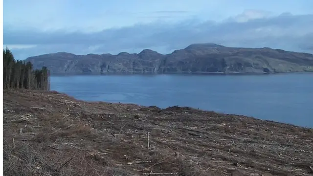 Место битвы в "Кровавом заливе"