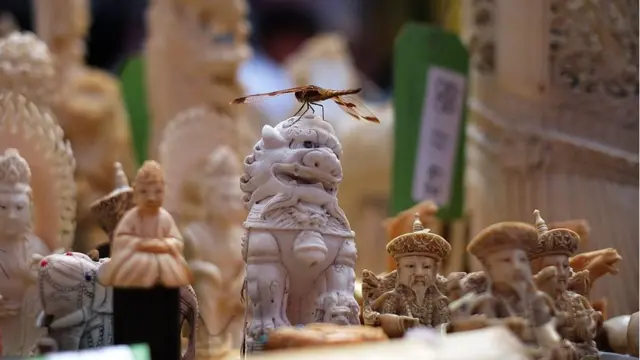 हाथी दांत