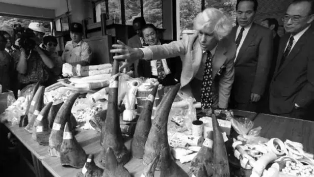 Есмонд Бредлі Мартін оглядає конфісковані роги носорогів на острові Тайвань, 1993 рік