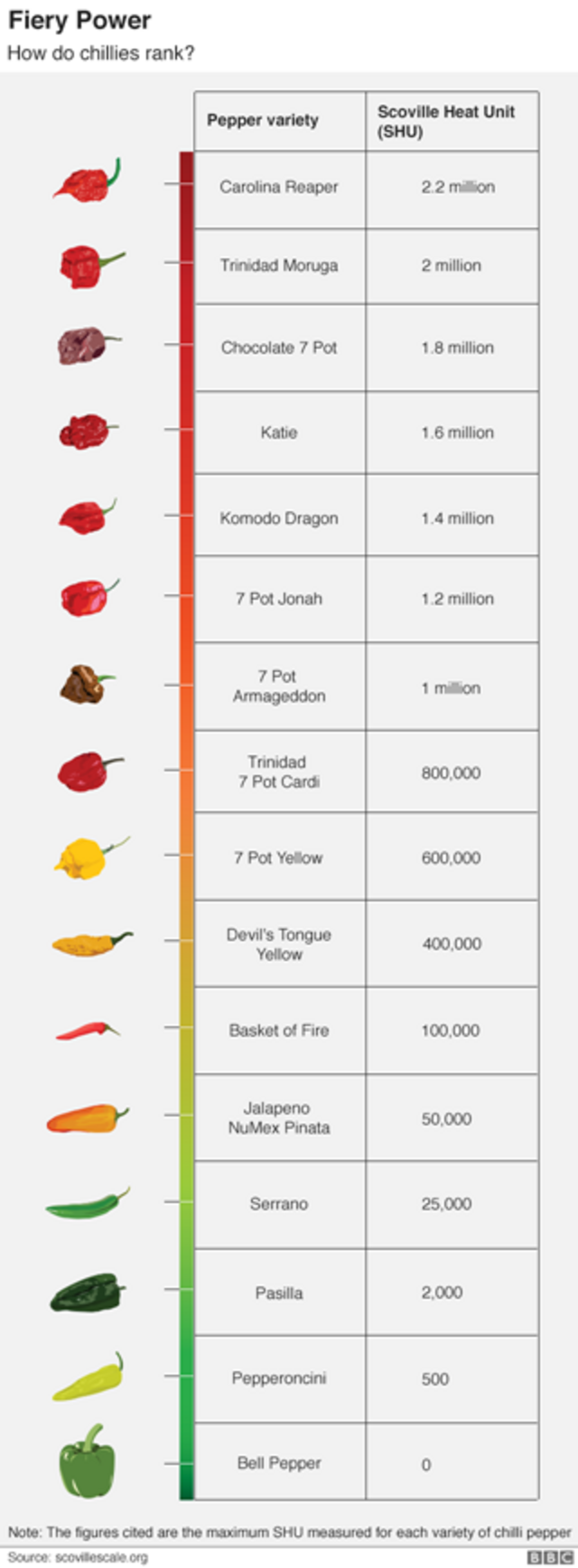 Graphic showing chilli power
