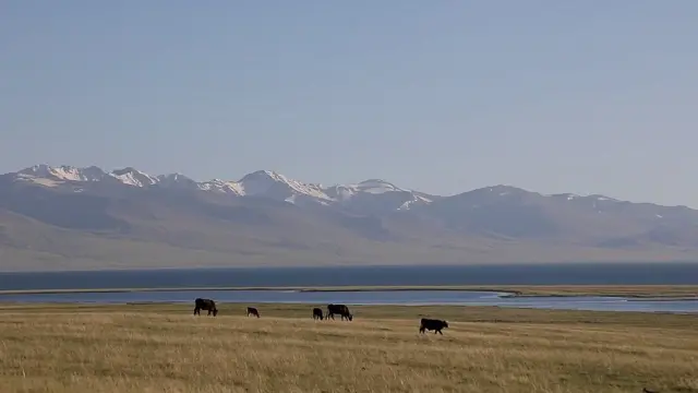 Соң-Көл жайлоосу