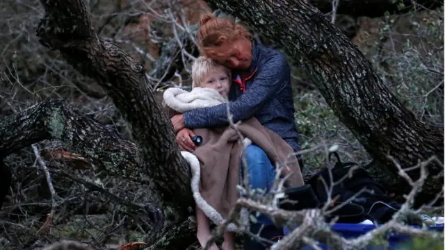 Una madre y su hijo esperan ser rescatados sentados en un árbol