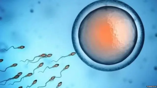 ਸੰਕੇਤਿਕ ਤਸਵੀਰ