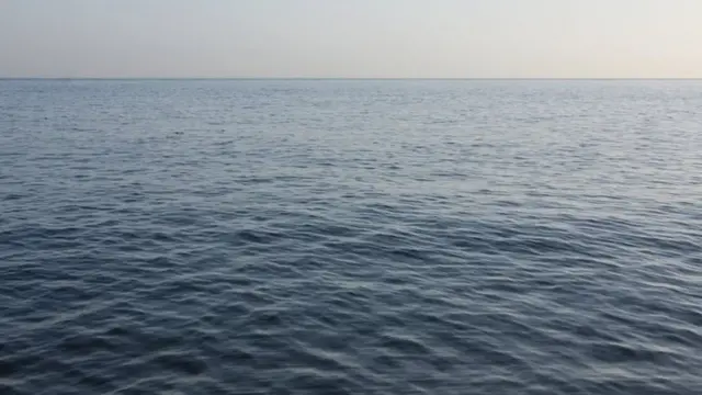 सारगास्सो सागर