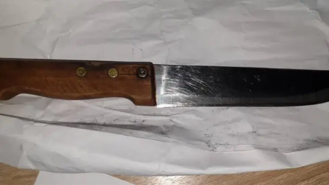 Кылмыштын куралы