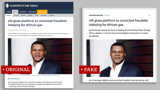 Photo de deux articles côte à côte avec le même titre et la même photo.