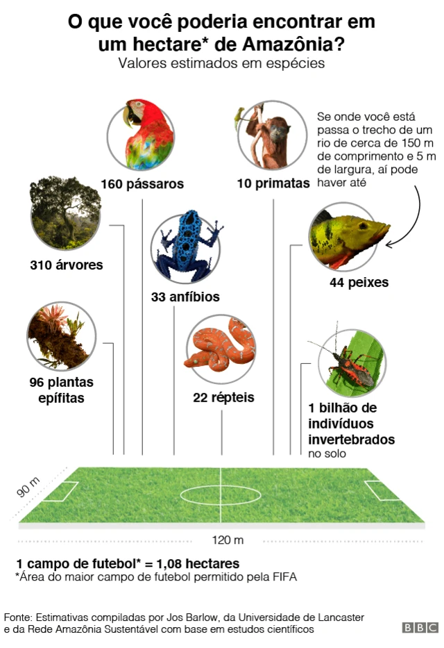 gráfico do que é possível encontrargrêmio e ituano palpiteum campogrêmio e ituano palpitefutebol