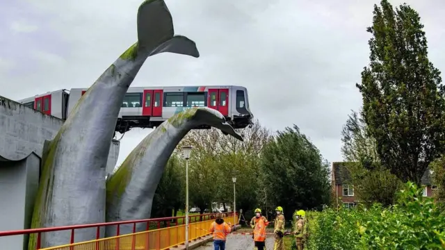 Потяг, зійшовши з рейок, виїхав на скульптуру кита у Нідерландах, листопад 2020 року