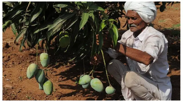 પ્રતિકાત્મક તસવીર