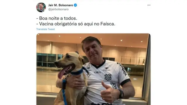 Bolsonarorollover betsulfoto com cachorrorollover betsulpostagem no Twitter