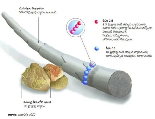 కాలుష్య వివరాలు