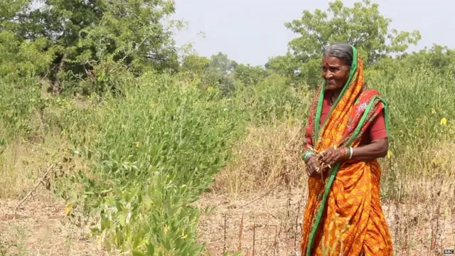 अपने खेत में खड़ीं बहिनाबाई