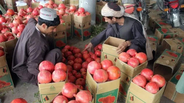 د کندهار انار