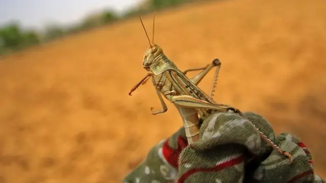 கொரோனா கட்டுப்பாடுகள் தளர்வு: எதற்கெல்லாம் அனுமதி? எதற்கெல்லாம் நீட்டிப்பு?