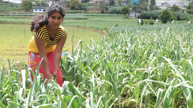 සතිශ්වරී