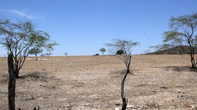 Área desertificada