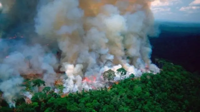 அமேசான்