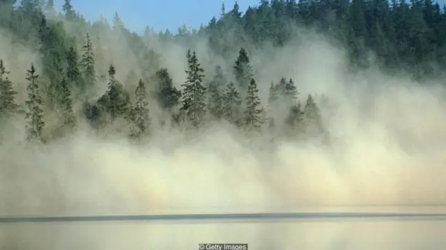 एसिड रेन