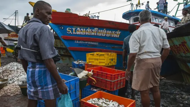 சந்தைக்கு செல்ல தயாராகும் மீன்கள்