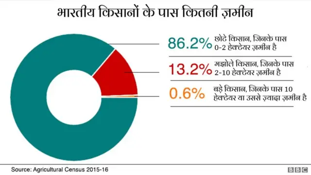 कृषि क्षेत्र