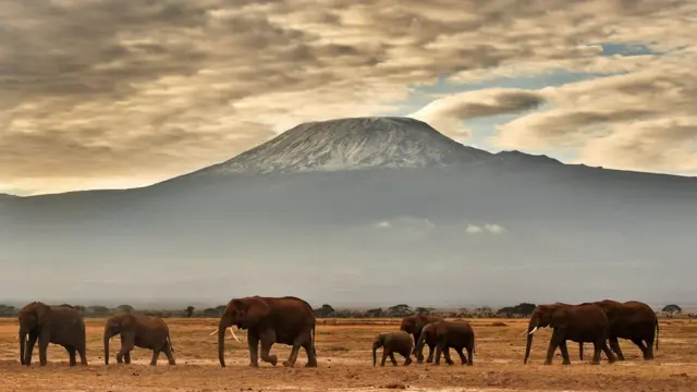 እምባ ማውንት ኬንያ