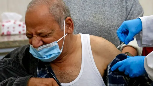 التلقيح في مصر