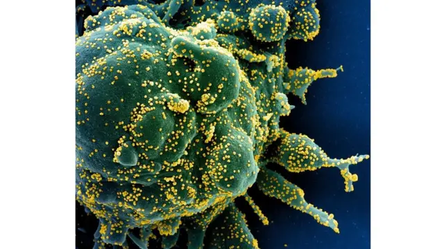 قد يجري تحديث الجرعات المعززة كل عام لتتناسب مع المتغيرات الفيروسية، تمامًا مثل لقاحات الإنفلونزا