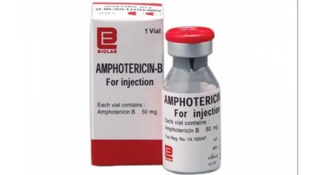 amphotericin B