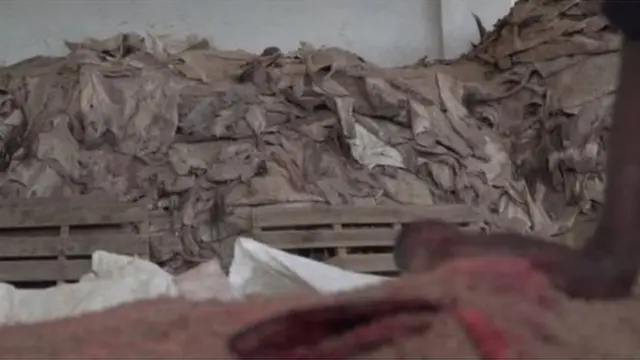 수출을 위해 쌓아놓은 당나귀 가죽