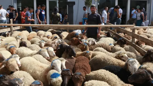 Azərbaycanda Qurban bayramı