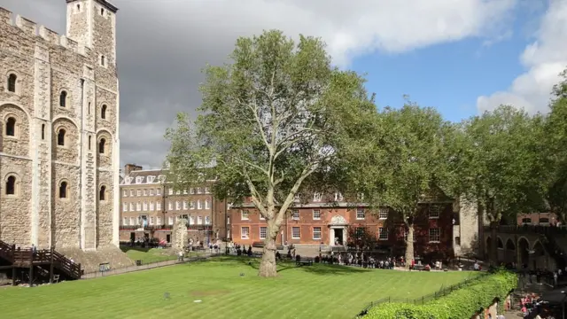 Белый Тауэр и лужайка перед ним