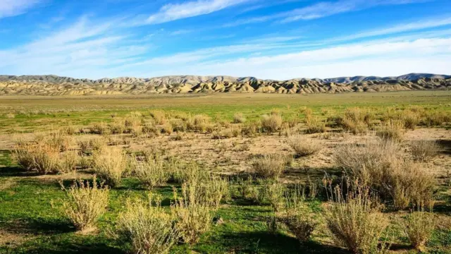 (圖片來源: Zack Frank)