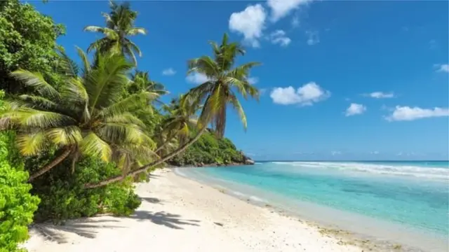 ஆஸ்திரேலிய கடற்கரை